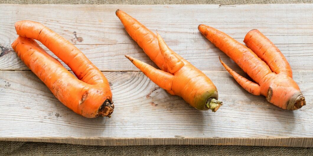 three-ugly-carrots-are-lying-on-grey-wooden-planks-on-burlap